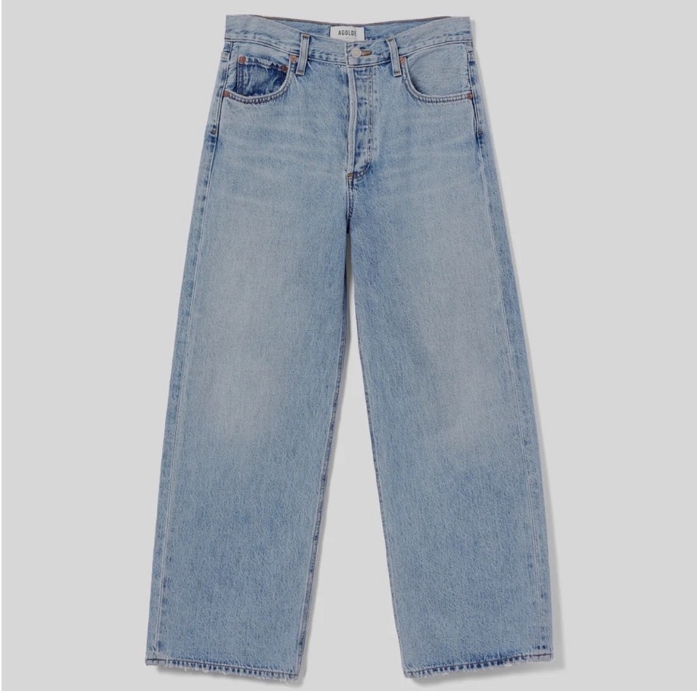 Agolde Ren Jeans, Size 26, Disclosure Wash